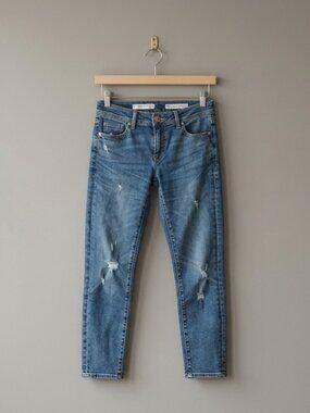 Anthropologie Pilcro The Slim Boyfriend Jean Size 26 Denim Cotton Blend